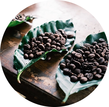 autre grain de café